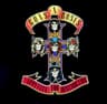 Appetite for Destruction